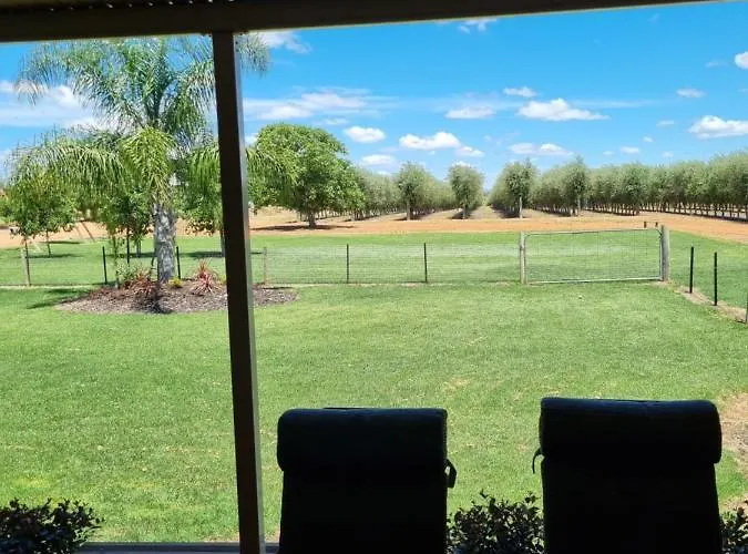 Waikerie Olive Grove